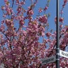 20120501_121237_l1001205