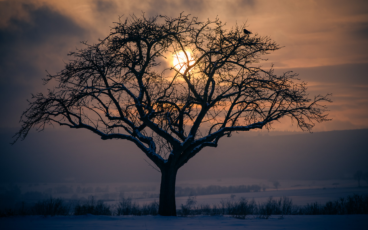 kostenloses Hintergrundbild Taunus Winter Sonnenuntergang